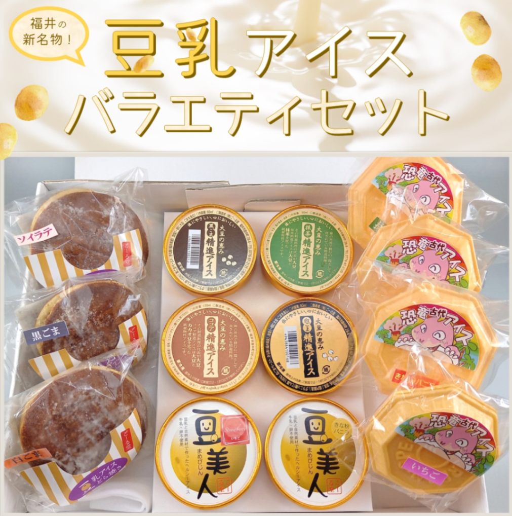 【福井 ごーる堂】 ごーる堂の豆乳アイスバラエティセット 13種入り  もなか 最中 アイスどら焼き