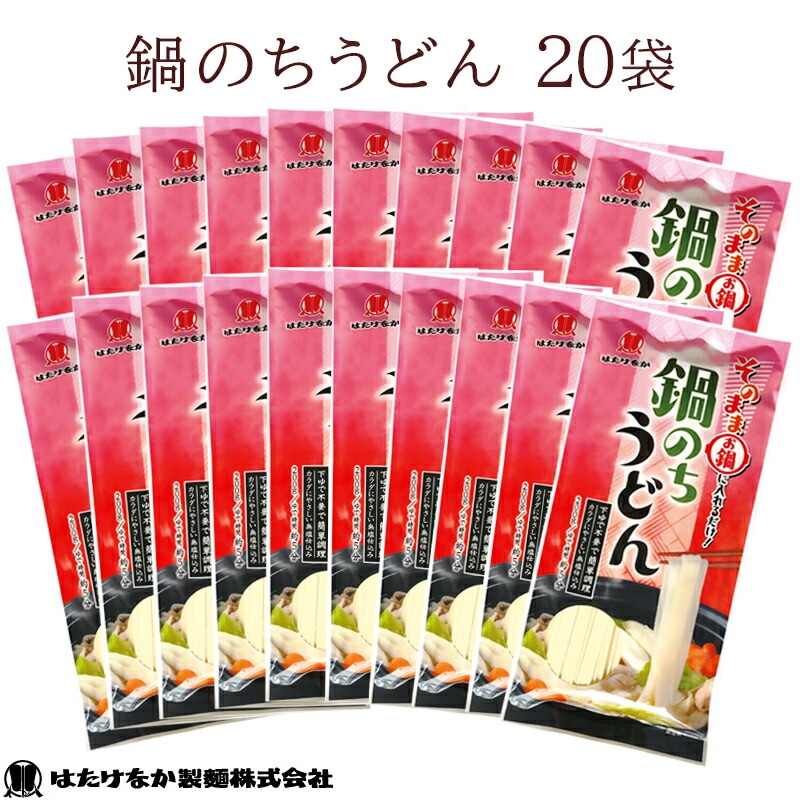 【宮城 はたけなか製麺】 【無塩】 鍋のちうどん 200g×20袋 約40人前 東北大学産学連携開発商品 食塩不使用