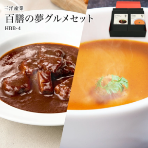 【大分 三洋産業】 百膳の夢グルメ 別府温泉 名物ビーフシチュー＆車海老クリームスープ 2種セット 各2袋 九州グルメ