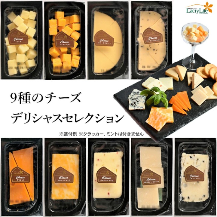 【長野 高見澤】9種のチーズ デリシャスセレクション お取り寄せグルメ バレンタイン 母の日 父の日 お中元 誕生日 ギフト 送料無料 Lacty Life ASAMAKOGEN ワインのお供 cheese fromage formaggio