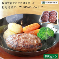 【北海道 箱根牧場】 北海道産牛肉100％使用 ビーフハンバーグ 180g×6個 6人前 冷凍 ハンバーグステーキ 牛肉 道産グルメ ハンバーグ 国産 牧場 お取り寄せグルメ 
