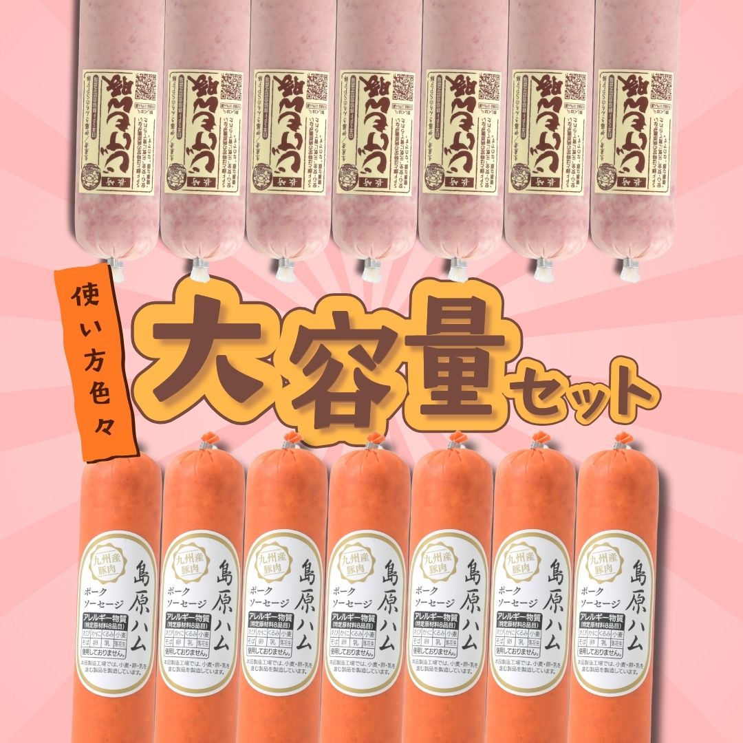 【冷蔵】大容量セット＜送料無料＞