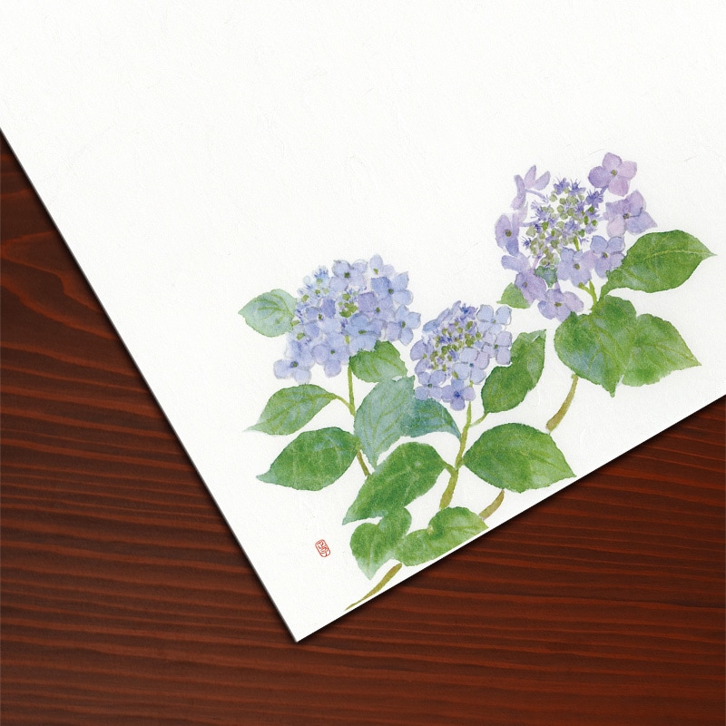 料理用具四季紙 桜・紫陽花・風鈴・菖蒲・朝顔 超大量まとめ売り