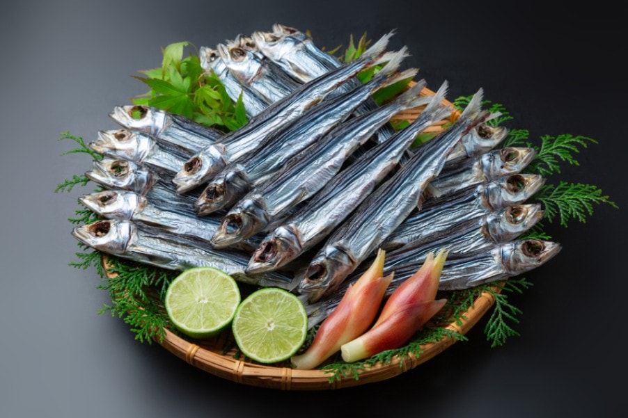 高知 一本釣り うるめ