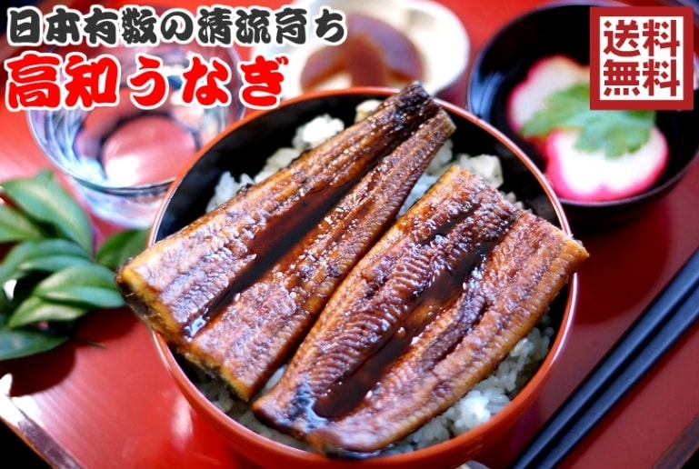 高知特産！うなぎ蒲焼き2尾