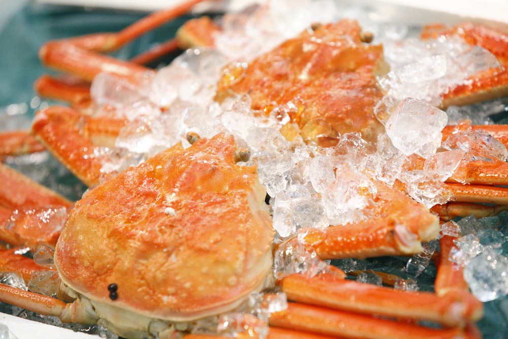 オホーツク海産！ボイルズワイガニ 特大4Lサイズ 6肩(約2Kg)