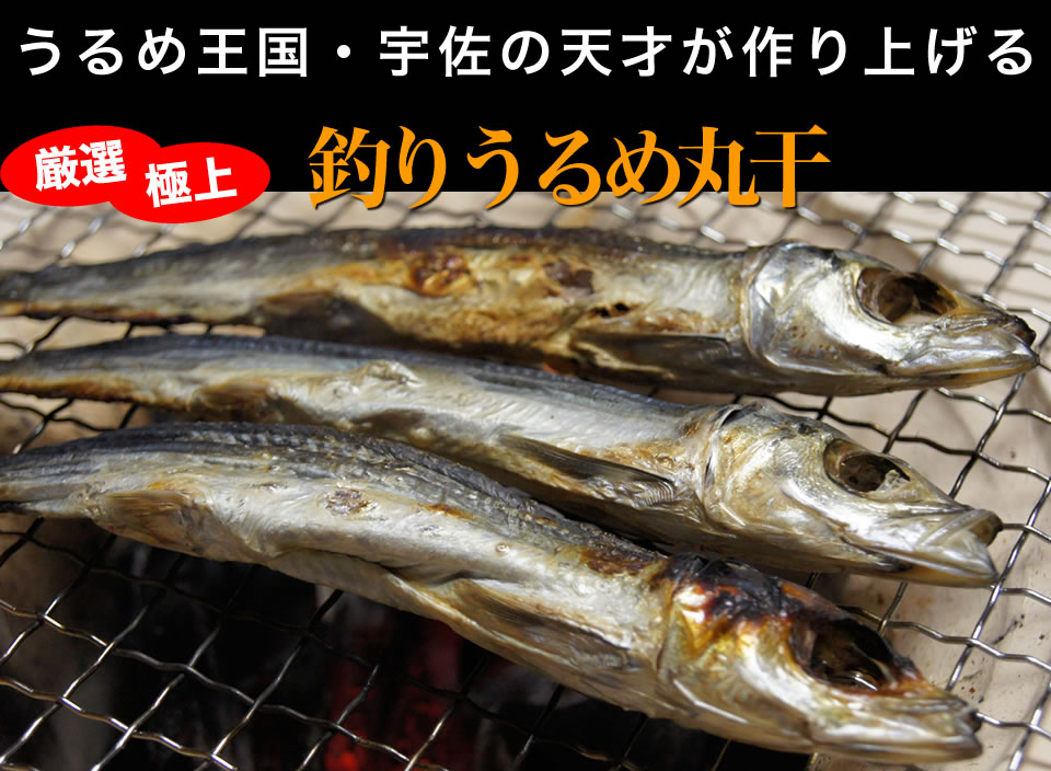高知 一本釣り うるめ