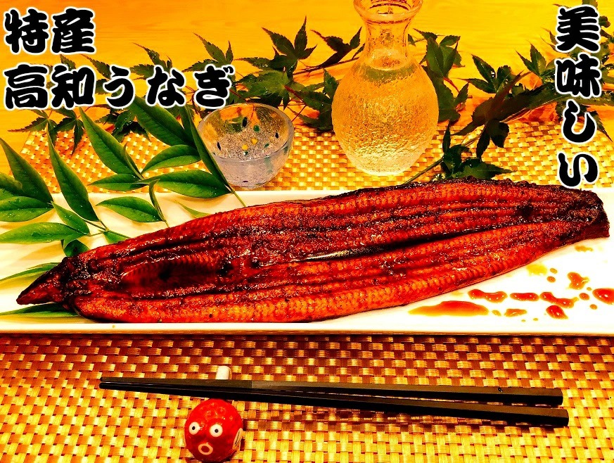 高知特産！うなぎ蒲焼き3尾