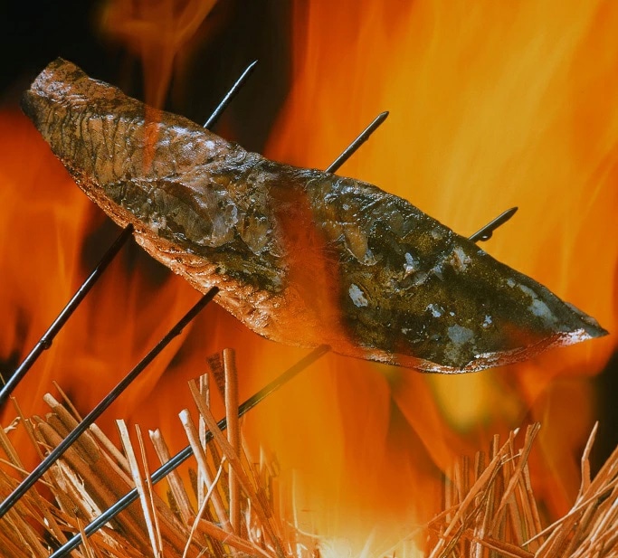 高知特産！鰹塩タタキ１Kg 3節