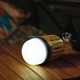 ムシトル～ン！2WAYランタンライト 240個～【名入れ商品】