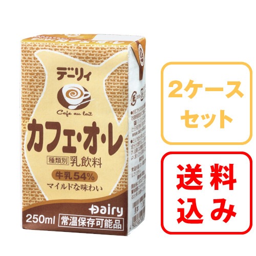 カフェ・オ・レ 250ml×24本 2ケース｜南日本酪農協同