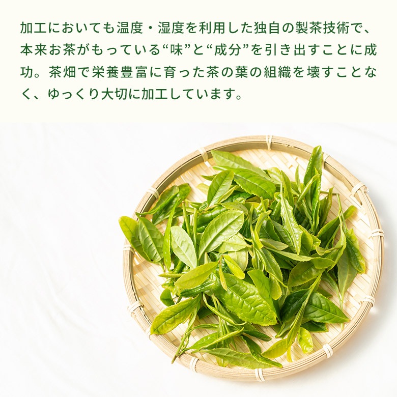 �Х�����PET ����������ߣ�����