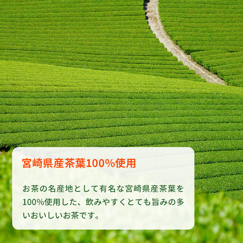 �Х�����PET ����������ߣ�����