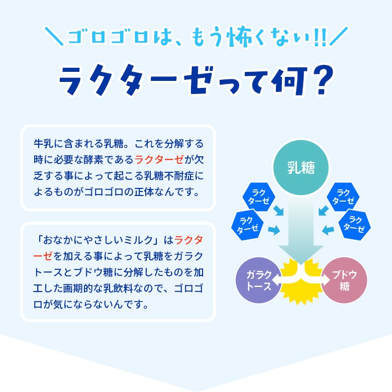 ���������ȥ�����������ͤˡؤ��ʤ��ˤ䤵�����ߥ륯 ����������ߣ����ܡ�����������