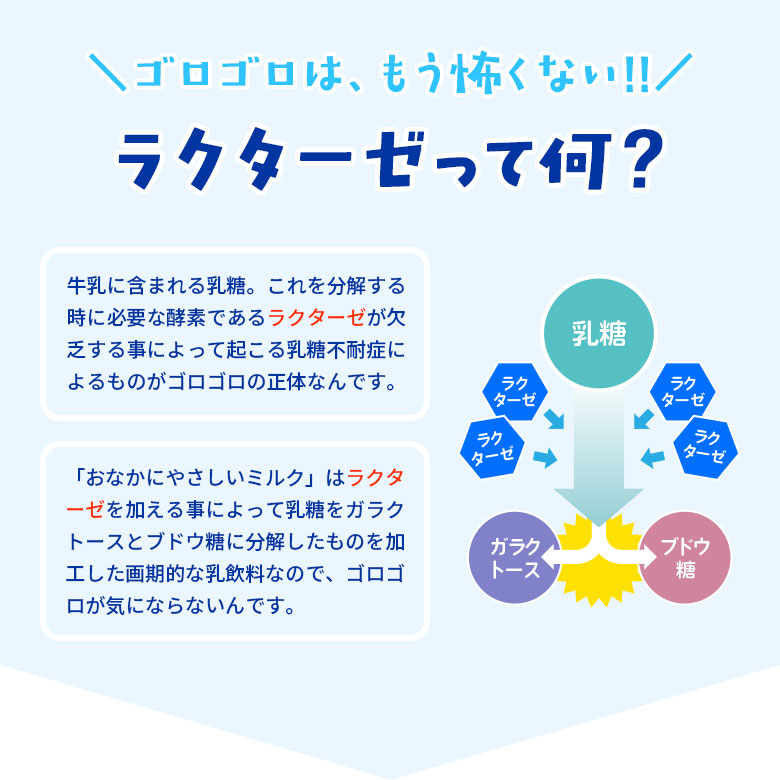 ���������ȥ�����������ͤˡؤ��ʤ��ˤ䤵�����ߥ륯 ����������ߣ����ܡ�