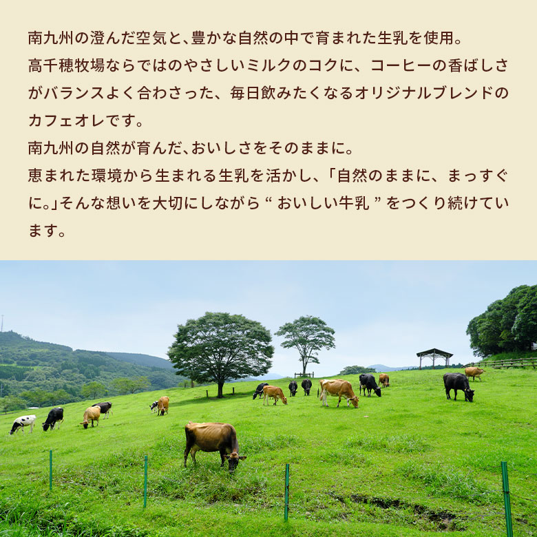 �������Ҿ쥫�ե����� ����������