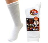 ���� ���祽�å��� �� ��� 4­�� 27cm��29cm 1078 �ٻμ��޹��� fujite �礭��������