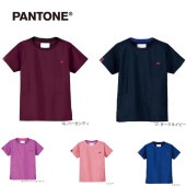  PANTONE 롼ͥå 7097SC Tĥ饤  ˽  ֥ݥȡ̵ Բ