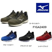 ߥ  ޥƥ EL31L F1GA2509 ɳ   æ  JSAA A ѳ  ǥ