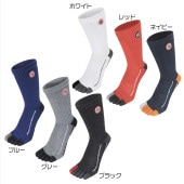 5�ܻإ��å��� �쥮��顼�� 3­�� 76UNION FT-76600 ����