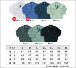 Ĺµѡ ݥꥨƥ100 SCUTUM 7116 TS DESIGN TS ǥ ں