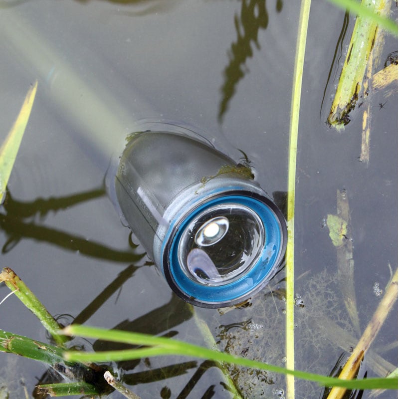 ʥȥJPסɿ ۵Ѳݾ10ǯ DDSNS3GR
