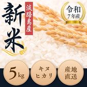 【送料無料】新米！令和7年産 淡路島産 キヌヒカリ　米 5kg 産地直送　冷めても美味しい ご家庭用 ギフト用|キャラクター用品
