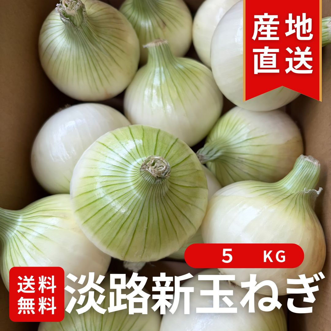【今だけの旬】淡路島 新玉ねぎ たまねぎ　レクスター 5kg 極早生 送料無料 甘い やわらかい 生食 サラダにおすすめ 産地直送 数量限定