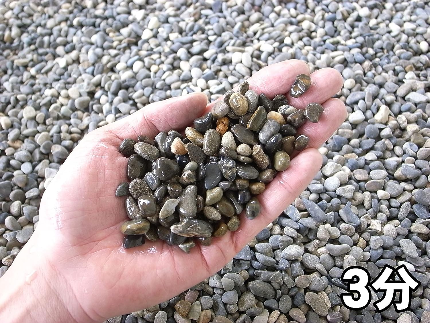 国産・天然みはま(御浜)砂利20kg袋 2分・3分・4分 日本産 Mihama Natural Pebbles (Made in Japan)
