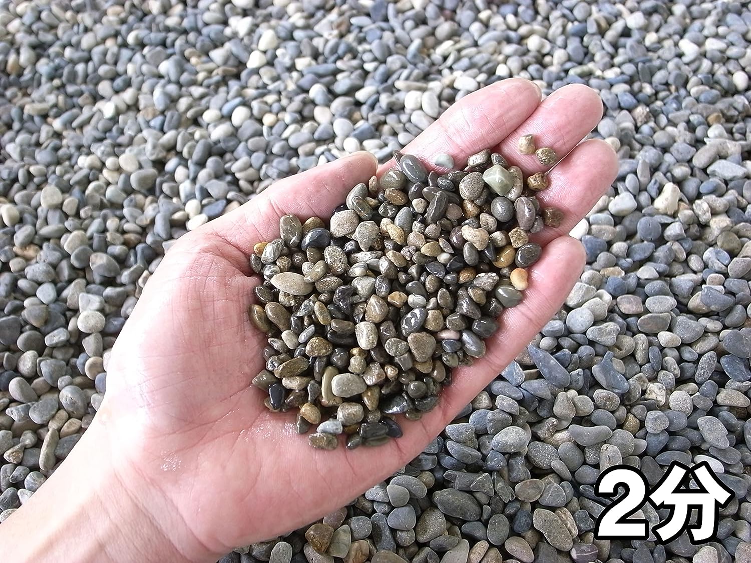 国産・天然みはま(御浜)砂利20kg袋 2分・3分・4分 日本産 Mihama Natural Pebbles (Made in Japan)