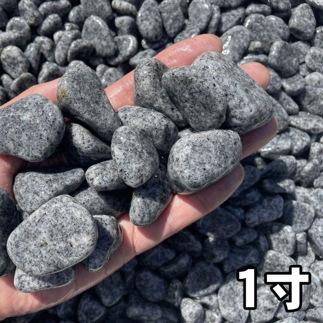 国産庵治(あじ)玉石20kg　5サイズ(5mm～50mm)「斑 (ふ)」が美しい「花崗岩のダイヤモンド」日本一高価な石　20KG
