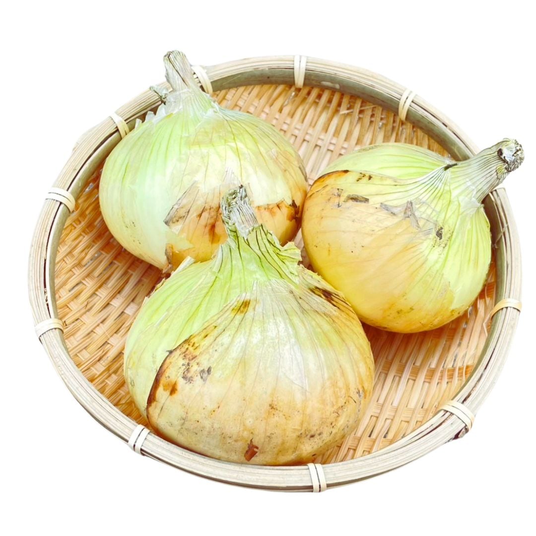 【訳あり】淡路島産 早生たまねぎ「七宝（淡春）」甘くてみずみずしい新玉ねぎ　玉ねぎ　2kg/3kg
