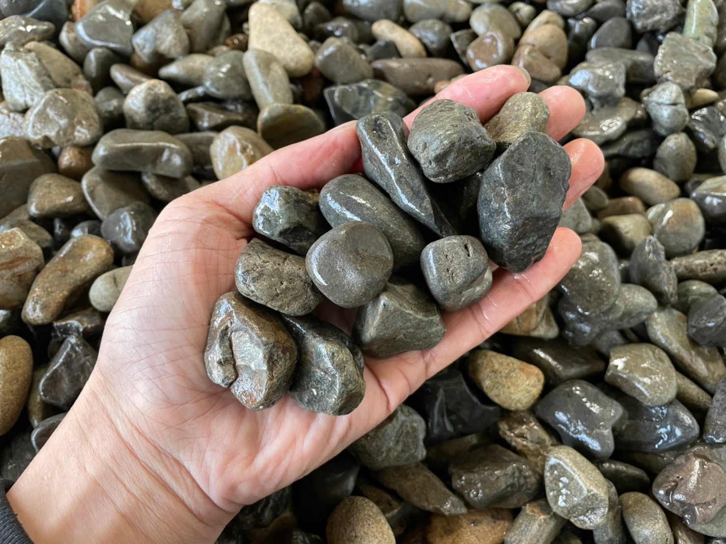 国産　【和歌山県産】天然 新宮砂利 20kg×10袋セット(200kg)　5サイズ(2mm～30mmまで）　濾過材用に最適