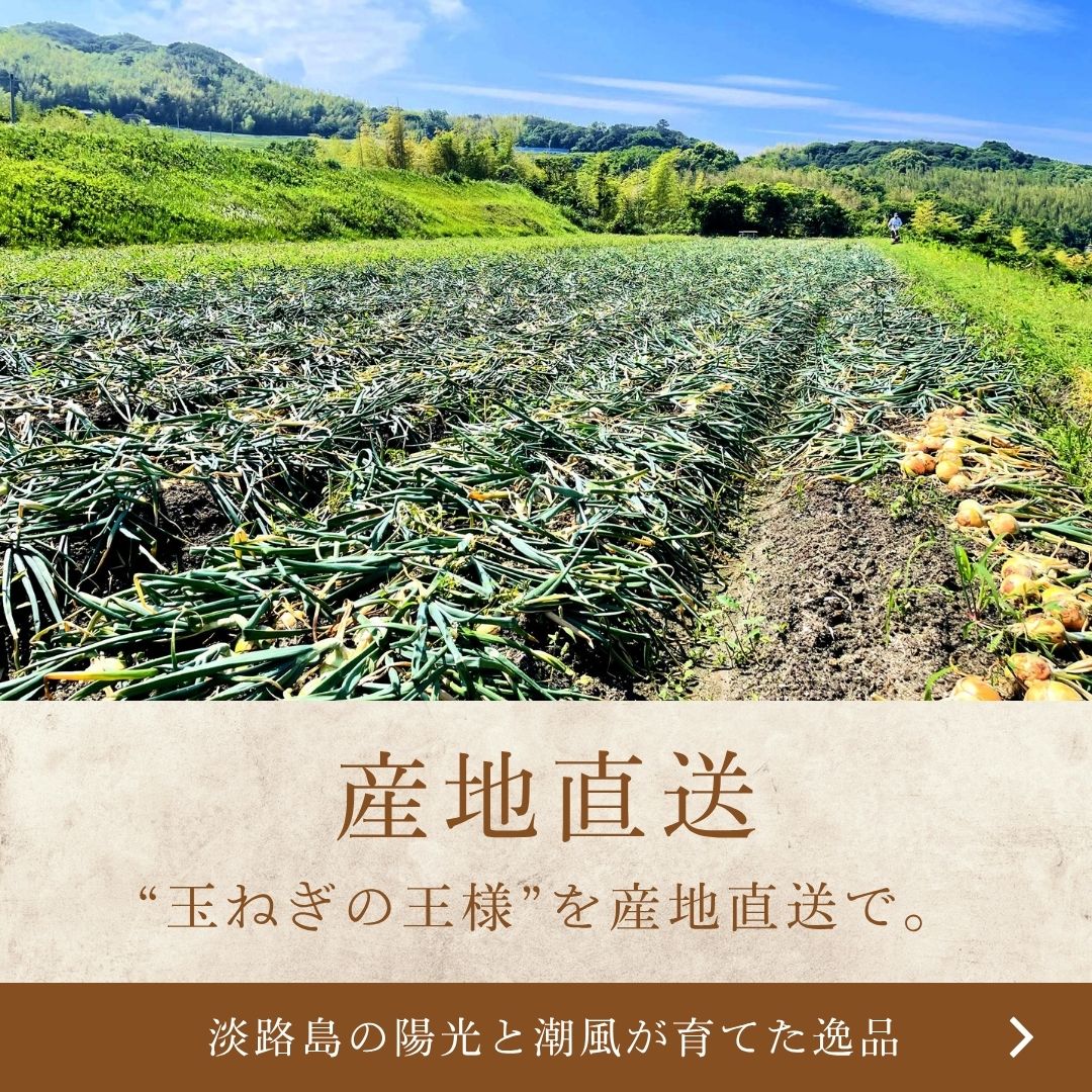 【順次出荷販売中】淡路島 ブランド玉ねぎ ターザン 2kg / 5kg / 10kg/20kg/たまねぎセット｜高糖度で甘い！国産野菜 中生品種 家庭用  保存も安心◎