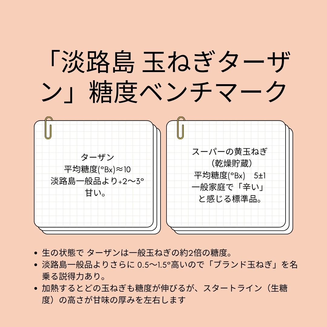 【順次出荷販売中】淡路島 ブランド玉ねぎ ターザン 2kg / 5kg / 10kg/20kg/たまねぎセット｜高糖度で甘い！国産野菜 中生品種 家庭用  保存も安心◎