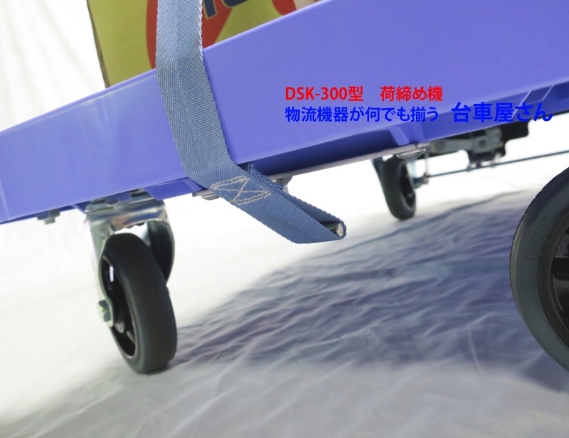�ʥ󥷥�DSK300���Ѳ����ᵡ