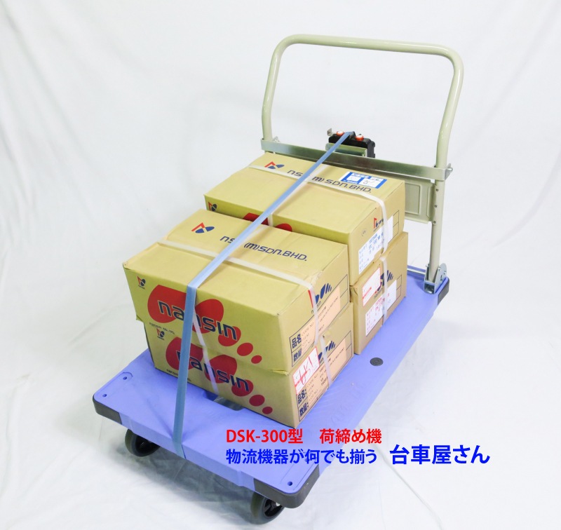 �ʥ󥷥�DSK300���Ѳ����ᵡ
