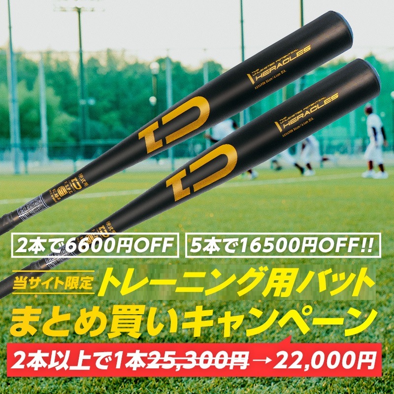 まとめ売り　野球　トレーニングバット　2本 トレーニング用竹バットまとめ買いキャンペーン｜ダイトベースボール