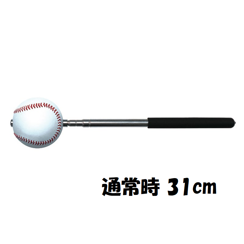 ポインタースティック