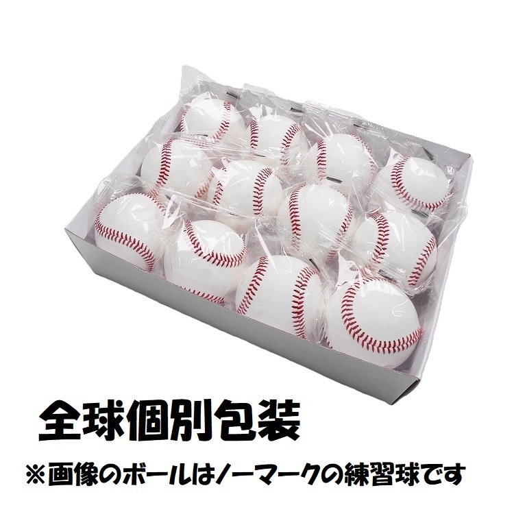 高校練習試合球 12球入り【TB-10N】