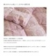 【数量限定】「アリエス」春秋用合掛け羽毛布団　シングルサイズ（150×210cm）　ブルガリア産トラキアホワイトダウン93％　ロイヤルゴールドラベル