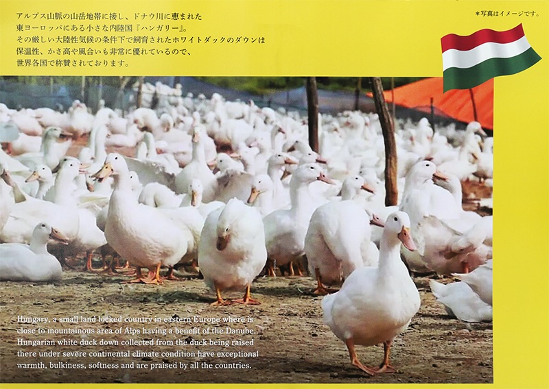羽毛布団 水鳥100% シングルサイズ （□ダブル羽毛布団□未使用品 