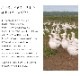 ［オズゴ］オールシーズン羽毛布団（2枚合わせ）　ポーランド産ホワイトグースダウン95％（コウダ種）　#100超長綿　シングルサイズ（150×210cm）