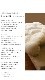 ［オズゴ］オールシーズン羽毛布団（2枚合わせ）　ポーランド産ホワイトグースダウン95％（コウダ種）　#100超長綿　シングルサイズ（150×210cm）