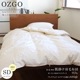 ［オズゴ］肌掛け羽毛布団(春夏用)ポーランド産ホワイトグース95％(コウダ種)　セミダブルサイズ（170×210cm） #80超長綿【サイズオーダー可】
