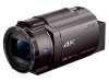 FDR-AX45A (TI) [�֥��󥺥֥饦��]