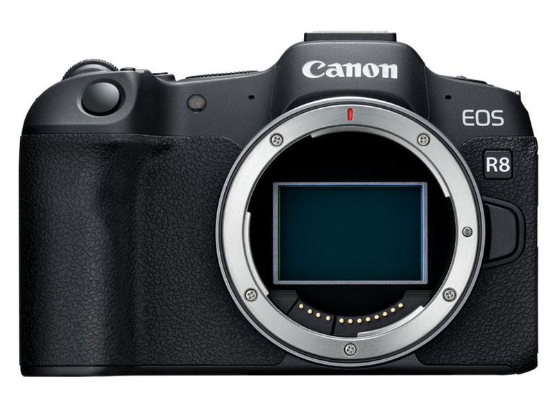 EOS R8 �ܥǥ�
