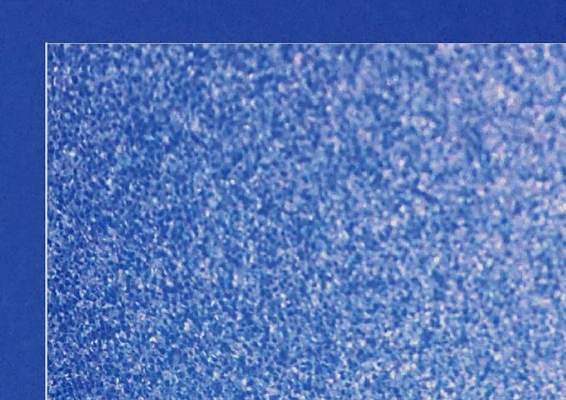 DPNC�ʥݥꡦ���ϥ��ꥢ��