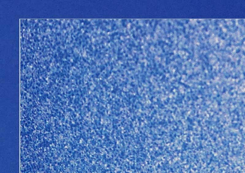 W��DPN��ξ�����ϡ����꡼���