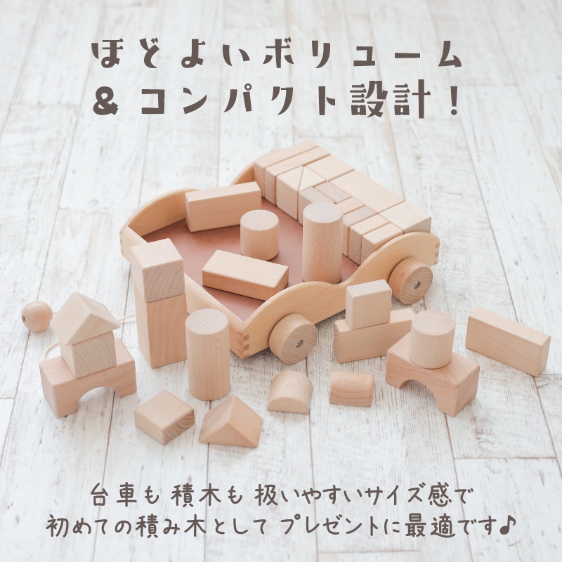 積木車《専用BOX*包装不可》　木のおもちゃ【木製おもちゃのだいわ公式店】